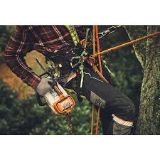 Tronçonneuse à batterie MSA 190 T STIHL