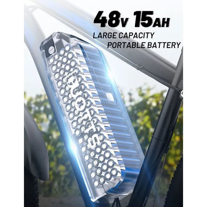 Vélo électrique DUOTTS C29 – 750W – 48V 15Ah – 29"