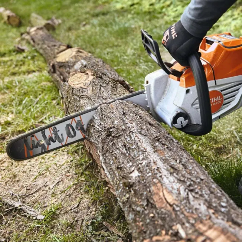 Tronçonneuse MSA 220 C-B STIHL - Pack batterie et chargeur